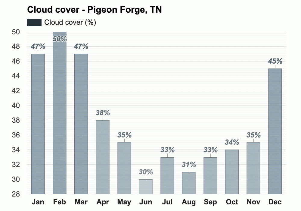 March weather Spring 2025 Pigeon TN