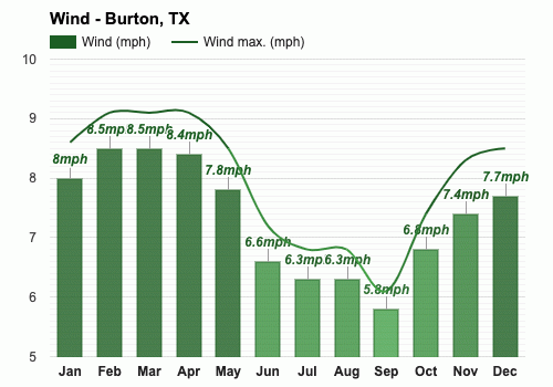 Yearly Monthly weather Burton TX