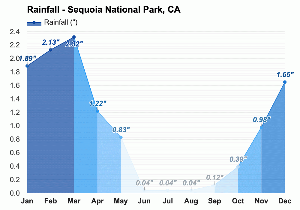 January weather Winter 2024 Sequoia National Park, CA