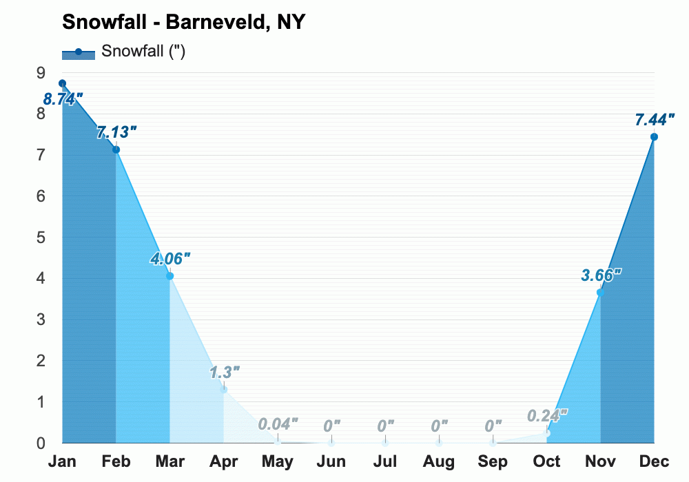 Barneveld, NY February 2024 Weather forecast Winter forecast