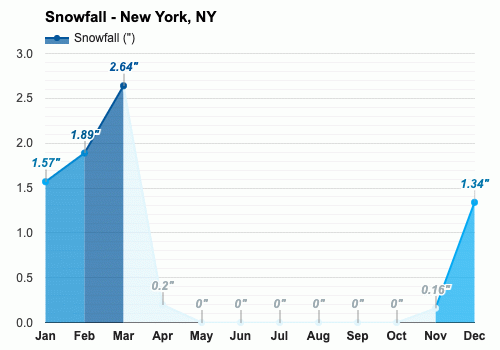 new york january weather