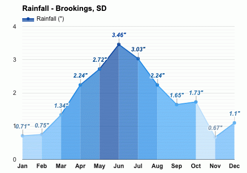 brookings recent rainfall totals